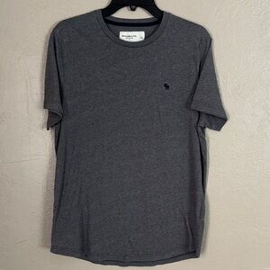 Abercrombie & Fitch Mens Soft A&F Tee T-Shirt Size Large Short Sleeve Gray